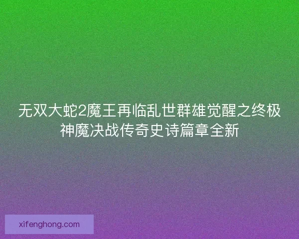 无双大蛇2魔王再临乱世群雄觉醒之终极神魔决战传奇史诗篇章全新