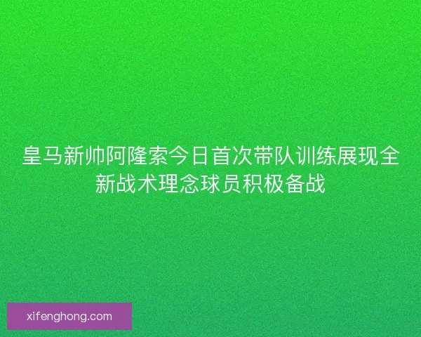 皇马新帅阿隆索今日首次带队训练展现全新战术理念球员积极备战 皇马新帅阿隆索今日首次带队训练展现全新战术理念球员积极备战