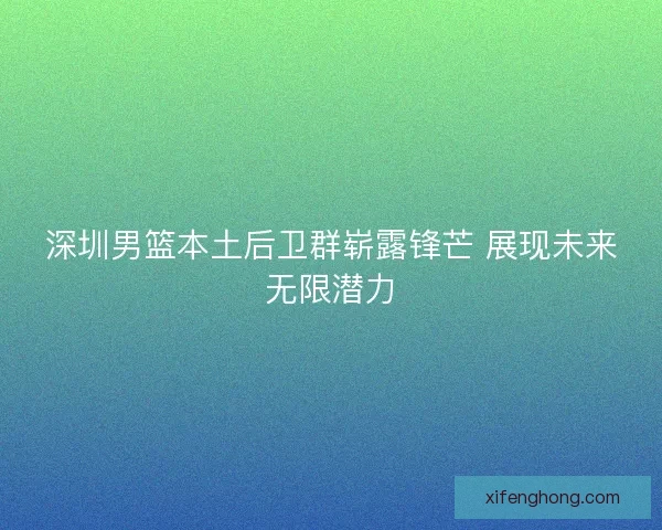 深圳男篮本土后卫群崭露锋芒 展现未来无限潜力 深圳男篮本土后卫群崭露锋芒 展现未来无限潜力