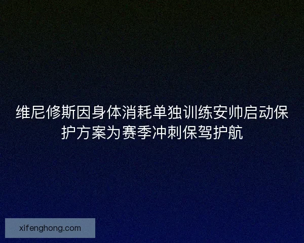 维尼修斯因身体消耗单独训练安帅启动保护方案为赛季冲刺保驾护航