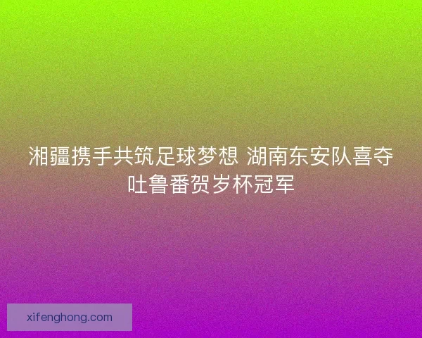 湘疆携手共筑足球梦想 湖南东安队喜夺吐鲁番贺岁杯冠军