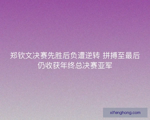 郑钦文决赛先胜后负遭逆转 拼搏至最后仍收获年终总决赛亚军